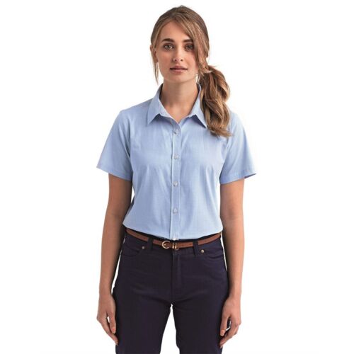 Women's Microcheck Gingham Short Sleeve Cotton Dress Shirt Thumbnail